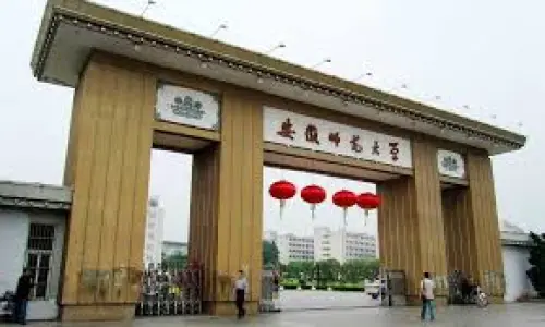 University