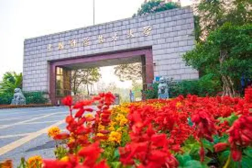 University