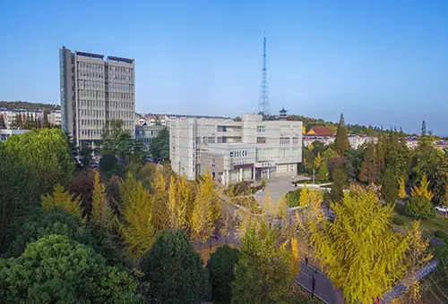 University