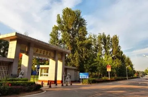 University