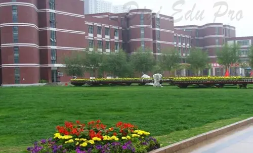 University