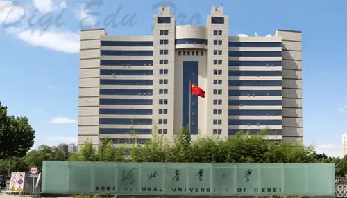 University