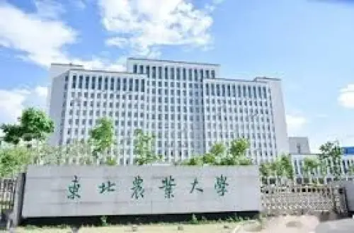 University
