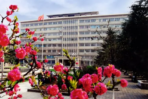 University