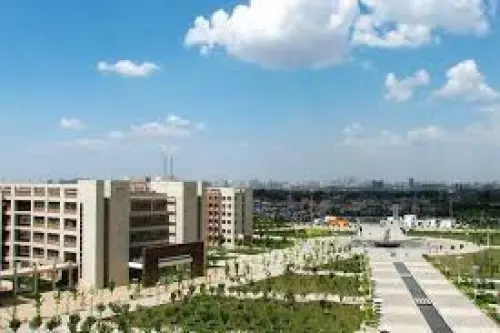 University