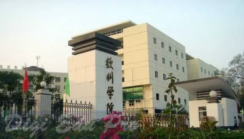 University