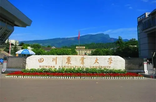 University